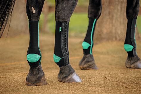 EquiCrown – Your partner for equine lymphatic therapy.